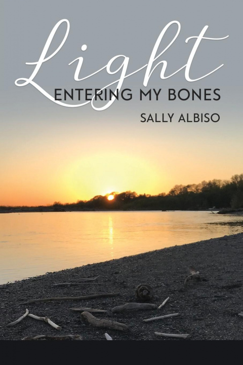 Livro Light Entering My Bones Sally Albiso