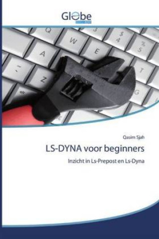 Kniha LS-DYNA voor beginners 