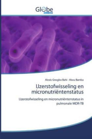 Kniha IJzerstofwisseling en micronutrientenstatus Abou Bamba