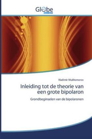Könyv Inleiding tot de theorie van een grote bipolaron 