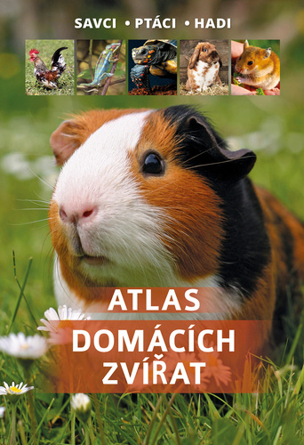 Kniha Atlas domácích zvířat Manfred Uglorz
