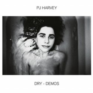 Kniha Dry - demos PJ Harvey