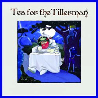 Kniha Tea For The Tillerman 2 Cat Stevens