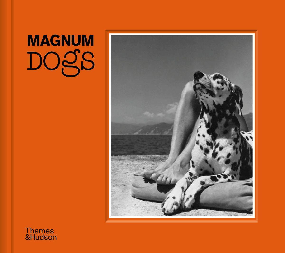 Książka Magnum Dogs 