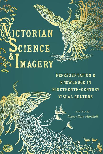 Kniha Victorian Science and Imagery 