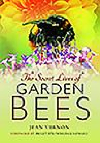 Książka Secret Lives of Garden Bees JEAN VERNON