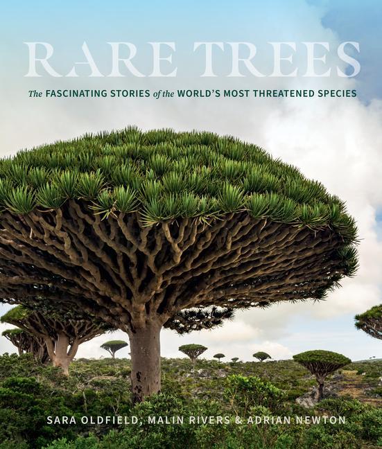 Kniha Rare Trees: The Fascinating Stories of the World's Most Threatened Species Malin Rivers
