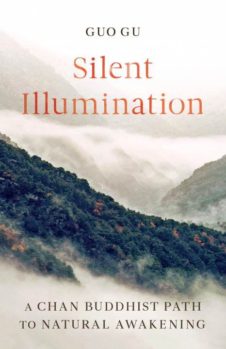 Kniha Silent Illumination 