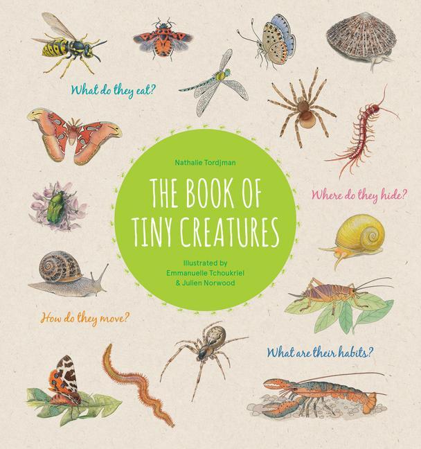 Kniha Book of Tiny Creatures Julien Norwood