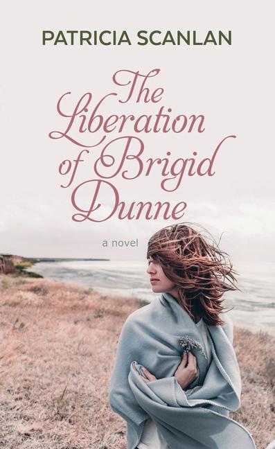 Kniha The Liberation of Brigid Dunne 