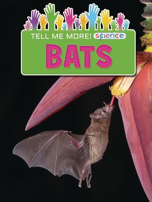Knjiga Bats Ruth Owen