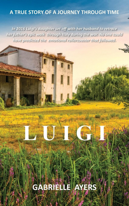 Knjiga Luigi Gabrielle Ayers