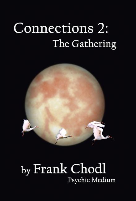 Boek Connections 2 Frank Chodl