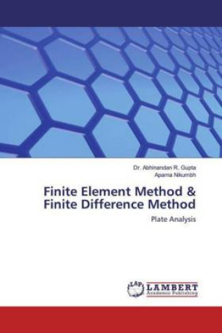 Knjiga Finite Element Method & Finite Difference Method Aparna Nikumbh