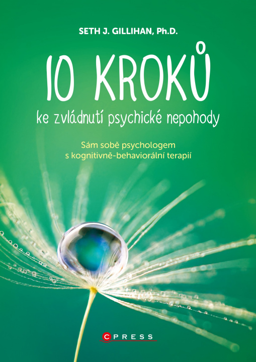 Kniha 10 kroků ke zvládnutí psychické nepohody Seth J. Gillihan