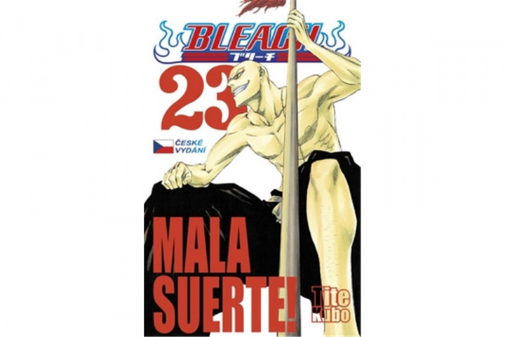 Kniha Bleach 23 Tite Kubo