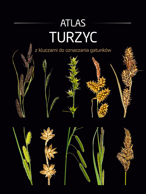 Kniha Atlas turzyc z kluczami do oznaczania gatunków Opracowanie zbiorowe