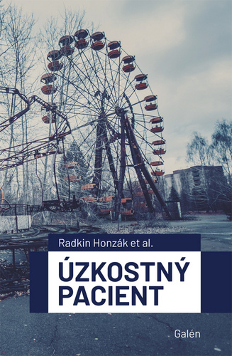 Kniha Úzkostný pacient Radkin Honzák