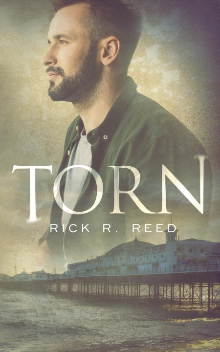 Knjiga Torn Rick R. Reed
