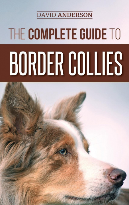 Könyv Complete Guide to Border Collies 