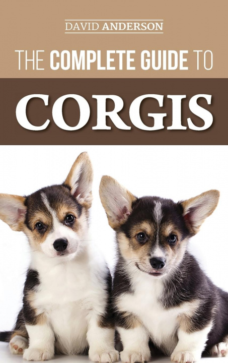 Kniha Complete Guide to Corgis 