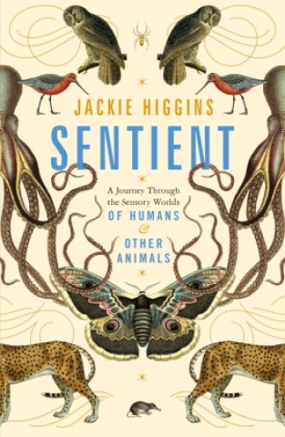 Kniha Sentient JACKIE HIGGINS