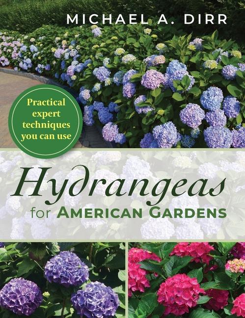 Libro Hydrangeas for American Gardens Dirr Michael A. Dirr