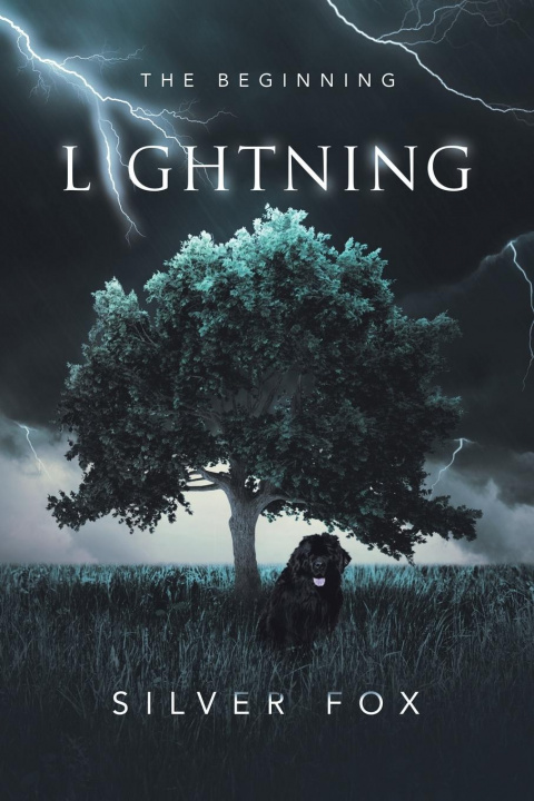 Knjiga Lightning Fox Silver Fox