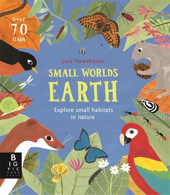 Libro Small Worlds: Earth Camilla De La Bedoyere