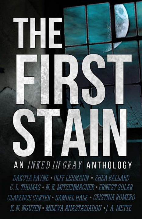 Book First Stain Rayne Dakota Rayne