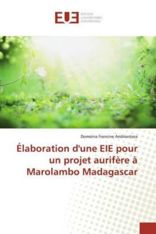 Carte Elaboration d'une EIE pour un projet aurifere a Marolambo Madagascar 