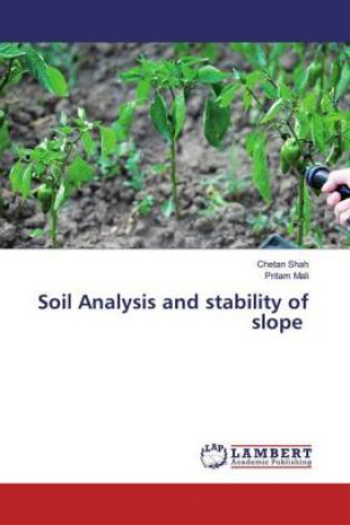 Könyv Soil Analysis and stability of slope Pritam Mali