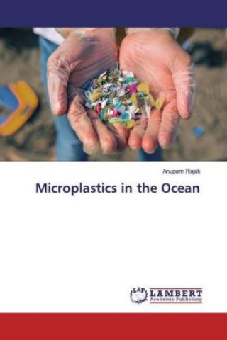 Könyv Microplastics in the Ocean 