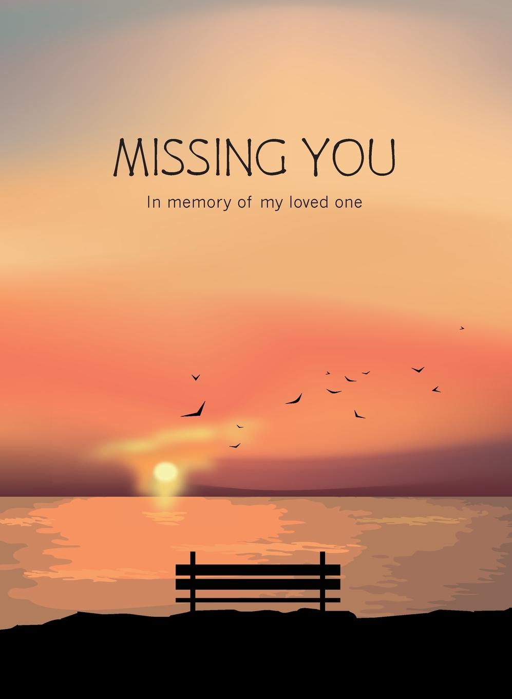Knjiga Missing You Shaela M. Mauger