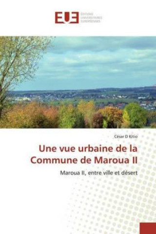 Carte vue urbaine de la Commune de Maroua II 