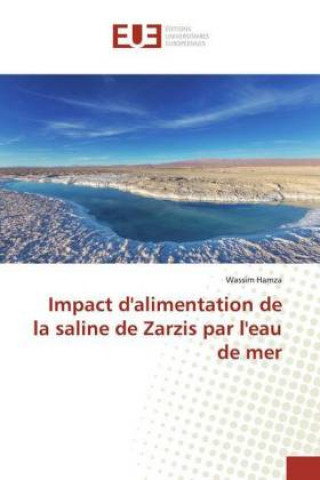 Carte Impact d'alimentation de la saline de Zarzis par l'eau de mer 