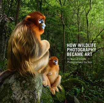 Könyv How Wildlife Photography Became Art 