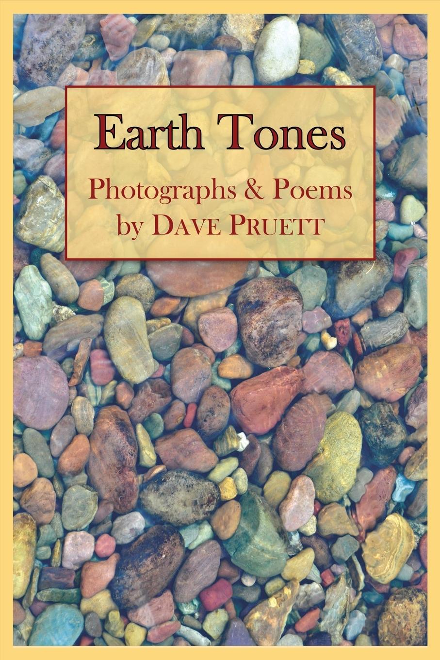 Buch Earth Tones Pruett Dave Pruett