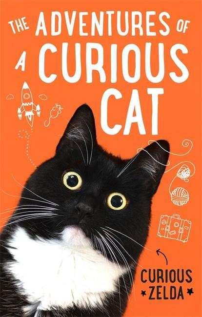 Kniha Adventures of a Curious Cat Curious Zelda