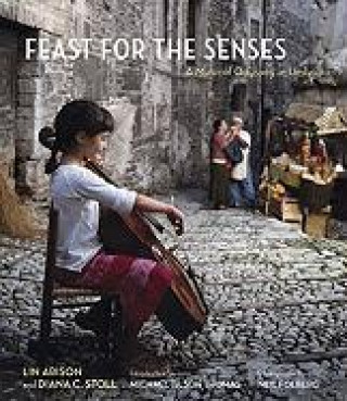 Kniha Feast for the Senses: A Musical Odyssey in Umbria [With 3 DVDs] Diana C. Stoll