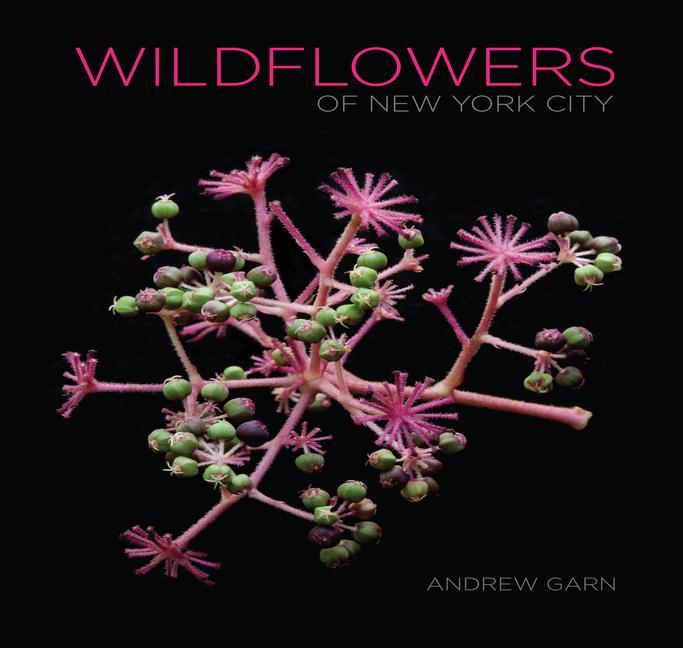 Książka Wildflowers of New York City Andrew Garn