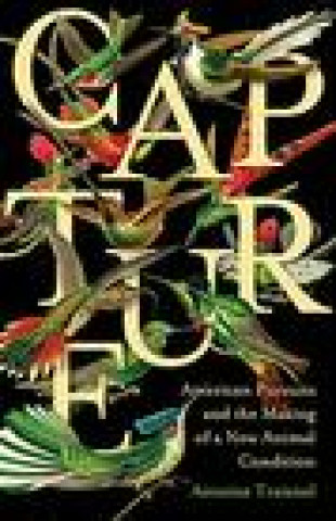 Buch Capture Antoine Traisnel