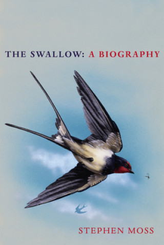 Kniha Swallow Stephen Moss