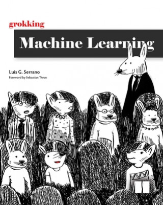 Könyv Grokking Machine Learning Serrano G. Luis