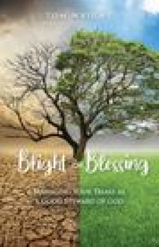 Knjiga Blight or Blessing Wright Tom Wright