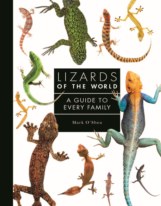 Książka Lizards of the World Mark O'Shea