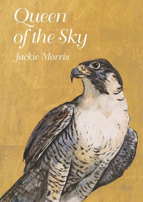 Könyv Queen of the Sky Jackie Morris