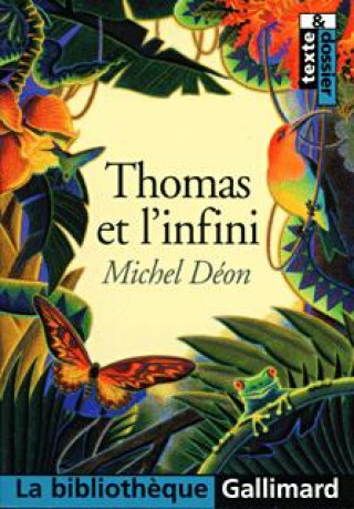 Kniha Thomas et l'infini Michel Deon