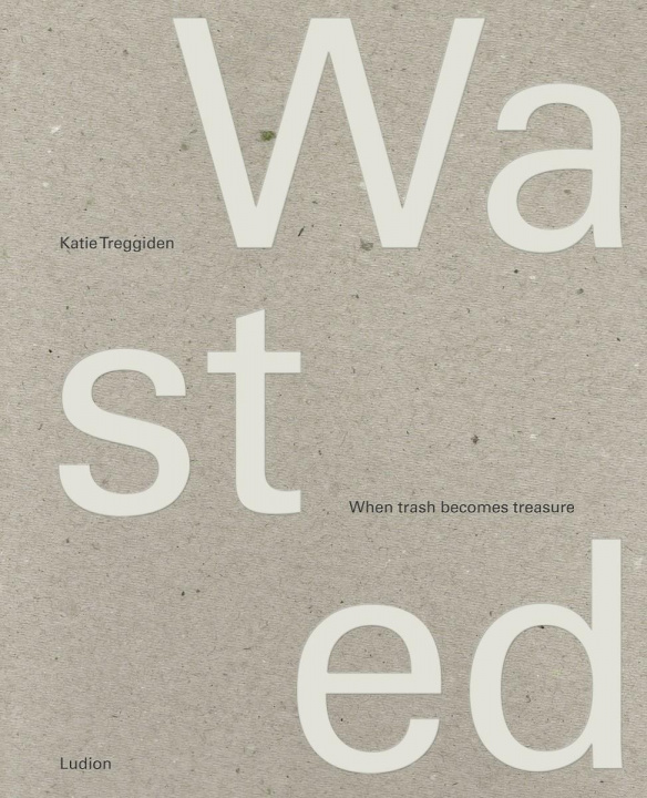 Kniha Wasted Katie Treggiden