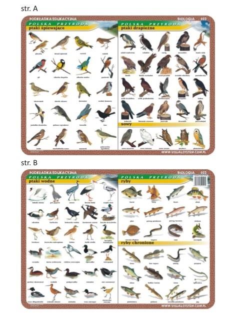 Carte Podkładka edukacyjna 022 Biologia. Ptaki Wodne, Śpiewające, Drapieżne, Ryby 